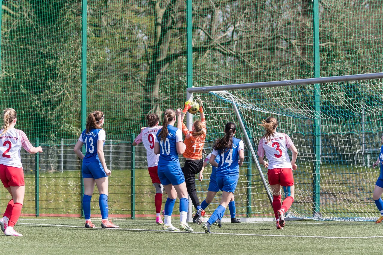 Bild 209 - wBJ SC Ellerau - Walddoerfer SV : Ergebnis: 1:8